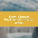 How I Choose Pet-Friendly Inns for Travel