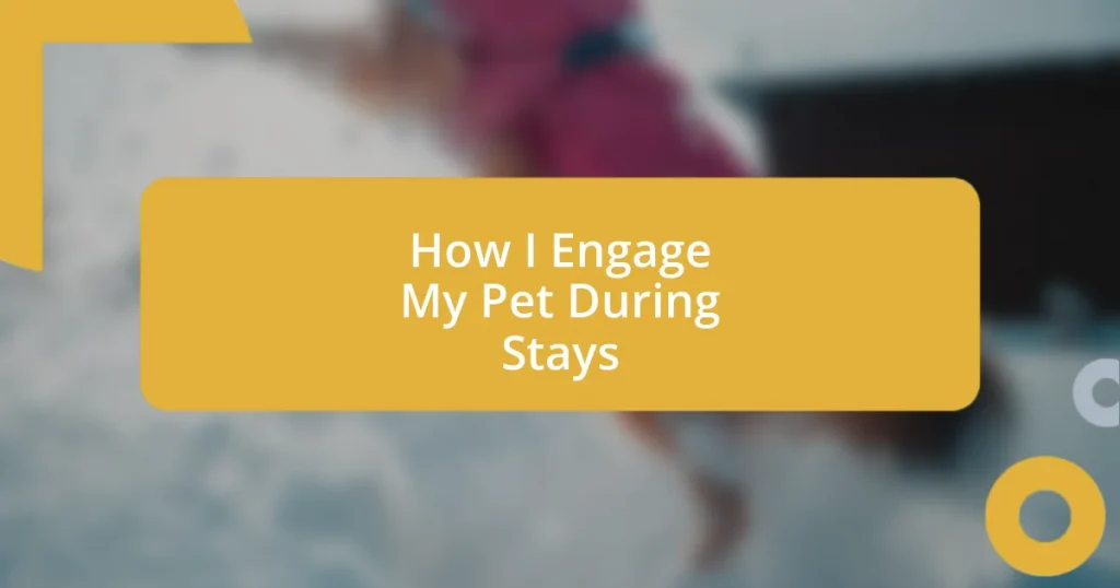 How I Engage My Pet During Stays