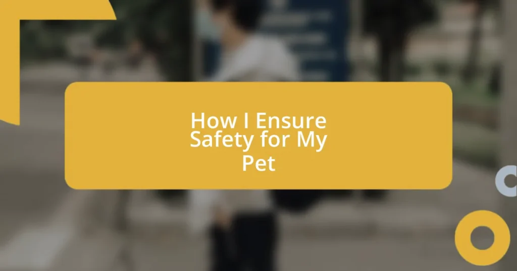 How I Ensure Safety for My Pet