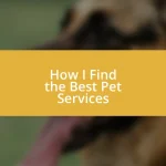 How I Find the Best Pet Services