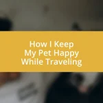 How I Keep My Pet Happy While Traveling