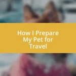 How I Prepare My Pet for Travel