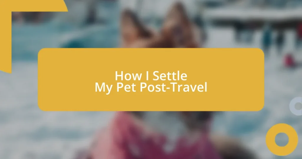 How I Settle My Pet Post-Travel