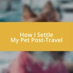 How I Settle My Pet Post-Travel