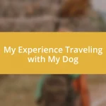 My Experience Traveling with My Dog