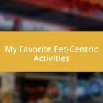 My Favorite Pet-Centric Activities