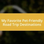 My Favorite Pet-Friendly Road Trip Destinations