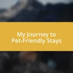 My Journey to Pet-Friendly Stays