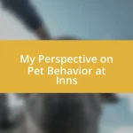 My Perspective on Pet Behavior at Inns