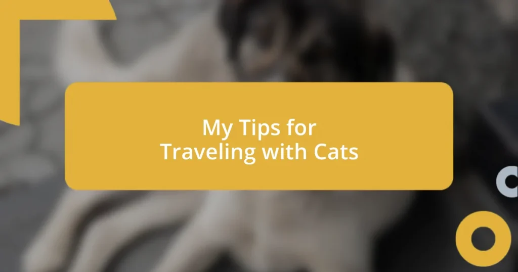 My Tips for Traveling with Cats