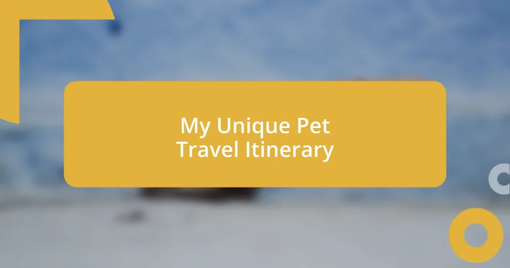 My Unique Pet Travel Itinerary