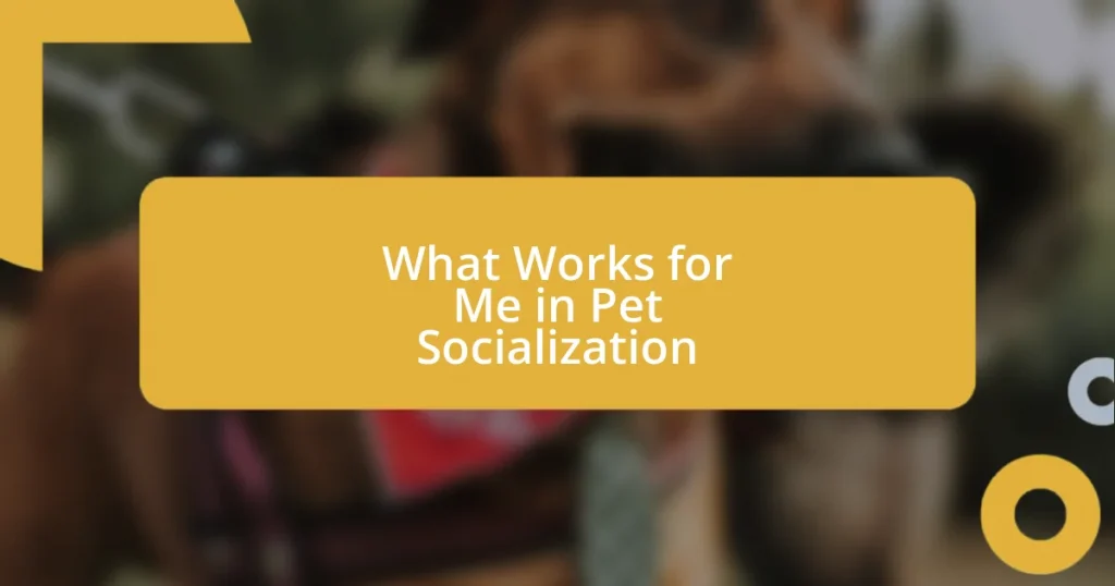 What Works for Me in Pet Socialization